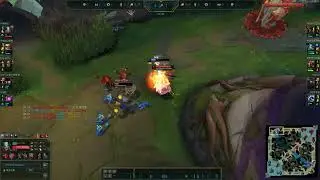 蠻王1打2
