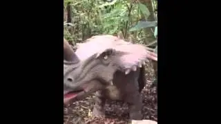 Dinosaurios en el INBioparque