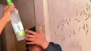 Magic Moment Grain Vodka | लड़कियाँ भी पी सकतीं है इसे .