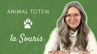 Animal TOTEM - La Souris - CHAMANE URBAINE