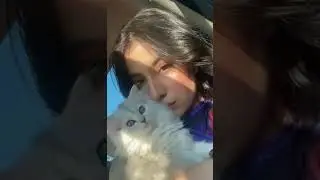 🦁جلادين🥰