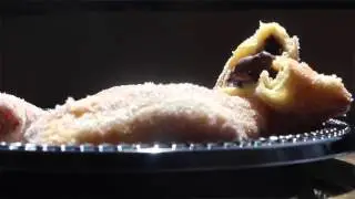 Tasty Time with Timon: Deep Fried Nutella
