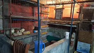 Today I redecorated the house again. #marwas #family #vlog