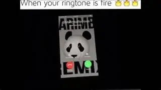 Panda-Designer(Marimba remix)