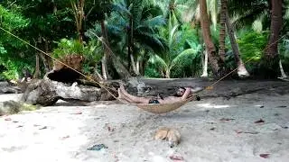 FILIPINE  - Plaje exotice si jungla filipineza din drona !