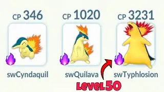 Level 50 Shadow Typhlosion Evolution Line is INSANE! 😳 (Pokemon Go)