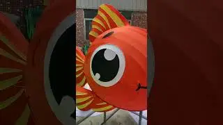 Customized Fish lantern #Hoyechi