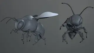 Modelling a Bee Cinema 4D R25 +  Teaser