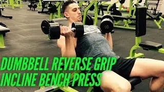 Dumbbell Incline Reverse Grip Bench Press