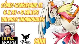 Cómo conseguir el 6 x 31 + 5 en los valores individuales ultra era pet