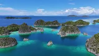 Raja Ampat: the four kings of scuba diving.