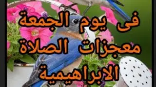قصة معجزة وواقعية ومؤثرة جدا جدا للصلاة الإبراهيمية 