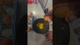Cooking with Marley