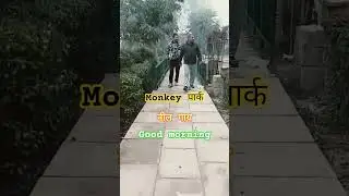 money park Delhi#delhi #goodmorning #sort #neelgay #love #vlog #song #up #nepal #news #ncr #comedy