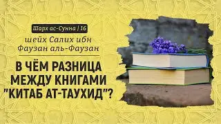 В чём разница между книгами 