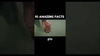 10 Amazing Facts in 30 Seconds | Mind-Blowing Short Facts You Must Know!