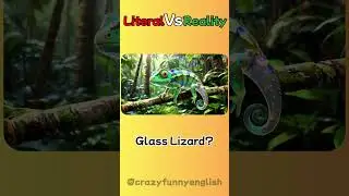 Literal vs Reality [Part 101]