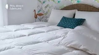Couettes naturelles en duvet, l&eacute;g&egrave;res et gonflantes pour toute l'ann&eacute;e - Castex
