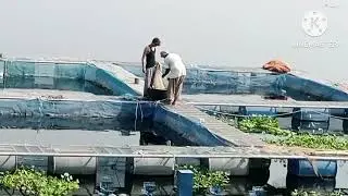 fish ko pakrdnay ka tariqa!how fish catches!        tech.taleem!