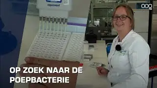 Op zoek naar blauwalg en poepbacteriën in de Groningse wateren