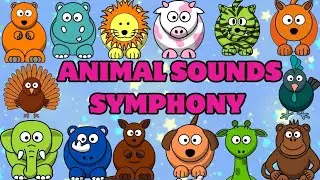 Animal Symphony Song: Explore Fun Jungle and Farm Sounds!