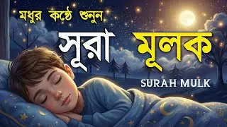 রাতে ঘুমানোর আগে সূরা মূলক (سورة الملك) Surah Mulk Pobitro Quran Tilawat | by Shamsul Haque