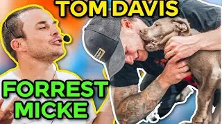 HOW TO TELL PEOPLE THEY CAN'T PET YOUR DOG!