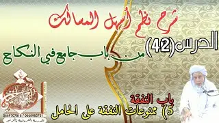 شرح نظم اسهل المسالك الدرس 42 من باب جامع في النكاح