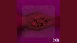 The Flowers You Never Gave Me