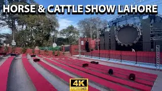 🇵🇰 Horse and Cattle Show 2025 Lahore | Walking Tours | 4k 60fps | Food and Culture