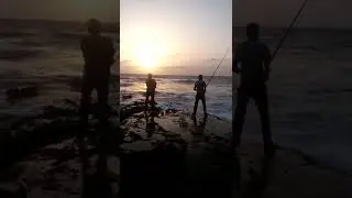 Mubarak village casting
