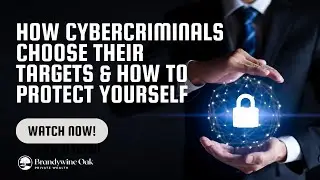 How Cybercriminals Choose Their Targets & How to Protect Yourself -- Brandywine Oak Private Wealth