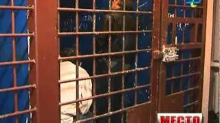 Место происшествия 070911