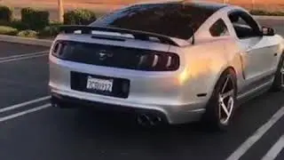 Mustang Wins & Fails Compilation