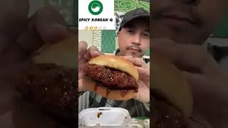 ОБЗОР: WINGSTOP 12 новых вкусов куриных сэндвичей! #шорты