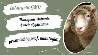 TRANSGENIC ANIMALS II GENETICALLY MODIFIED EUKARYOTIC ORGANISM II THEIR APPLICATION