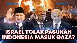 🔴Pakar Sebut Netanyahu 'Ogah' Terima Pasukan Indonesia ke Gaza, Israel Merasa Terancam?