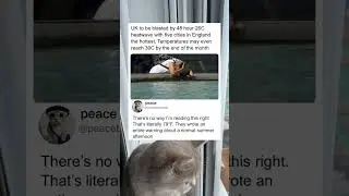 Предупреждение о сильной жаре в Великобритании, которое шокировало американцев