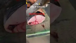 Fresh King Fish Big Slice Cutting | Satisfying Seafood Preparation | Fish Cutting ASMR