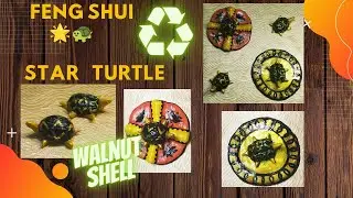 How to make Feng Shui Turtle#recycling Walnut Shel#Best out of Waste