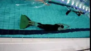 Freediving on a Theme by Peter Boivie