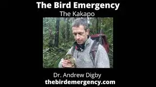 The Kakapo Recovery effort with Dr. Andrew Digby