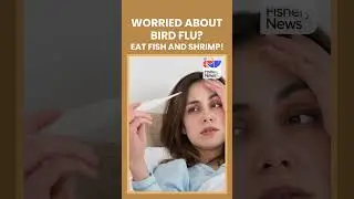 Afraid of bird flu? Eat fish and shrimp! | Fishery News