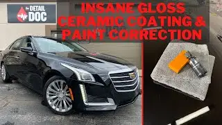 Insane Gloss After Paint Correction and Cquartz Professional Ceramic Coating - Clio, MI