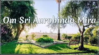 Om Sri Aurobindo Mira  |  Musical offering from Sri Aurobindo Sadhana Peetham (SASP), Lodi CA