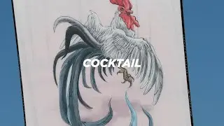 DRAKE COCKTAIL - 2023 SNOWBOARD