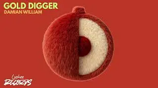 Damian William &ndash; Gold Digger (Radio Edit)