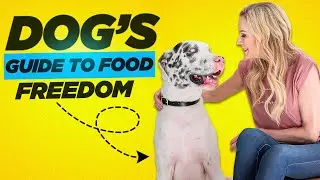 7 Surprising Ways Your Dog Can Help You Stop&nbsp;Binge&nbsp;Eating