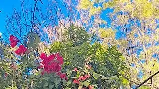 asllamo allekum welcome to my live me ☺️