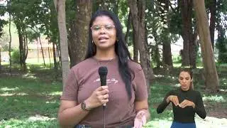 Cerrado - Segundo maior bioma do Brasil está em risco | MUNDO UFG